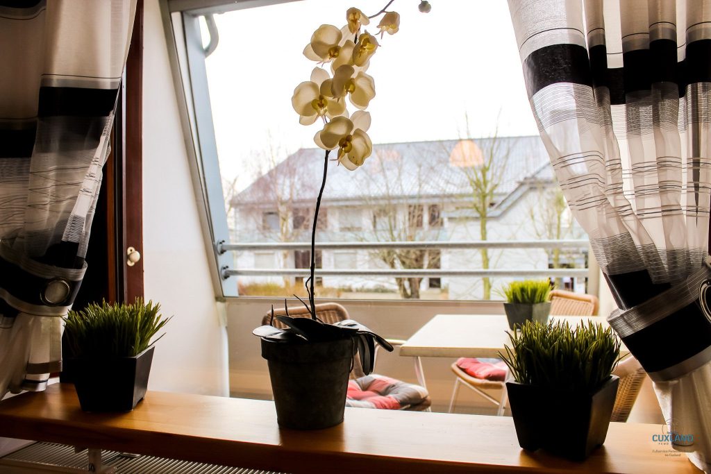 Haus Essen Wohnung 22-6