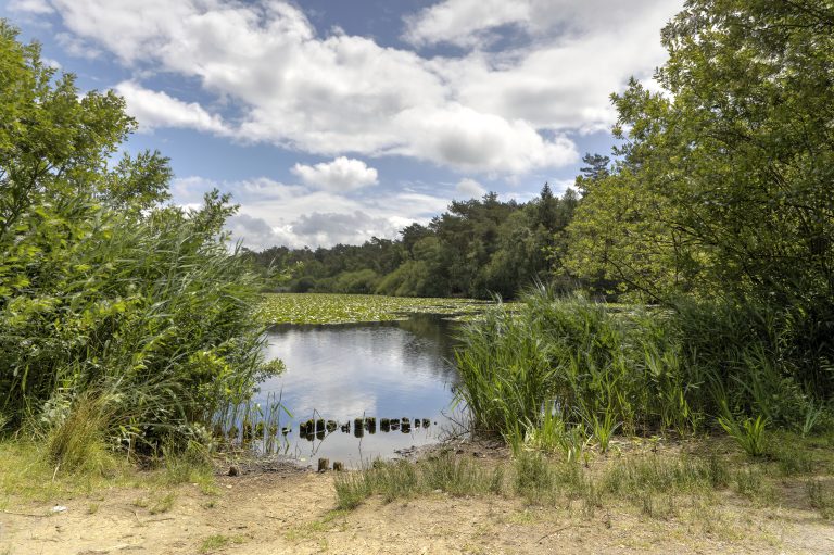 Finkenmoor
