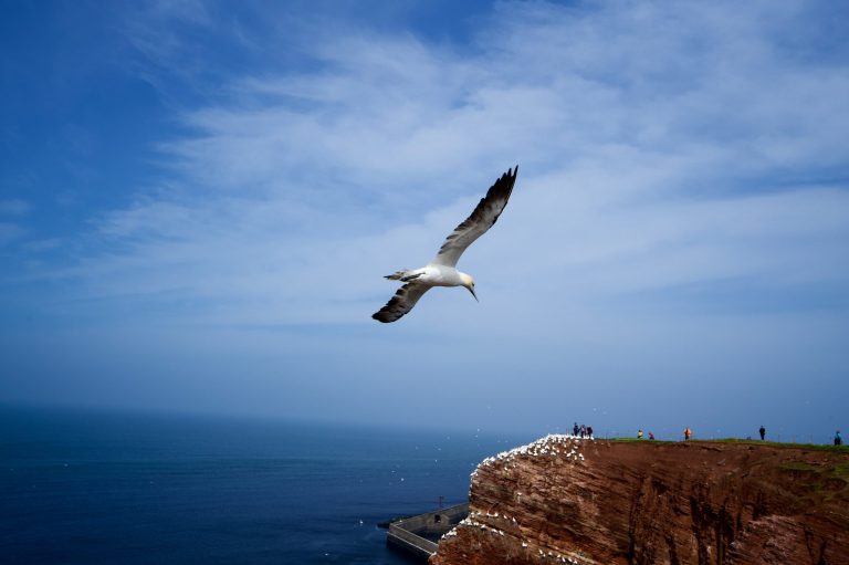 Helgoland-Webseite-9009-37