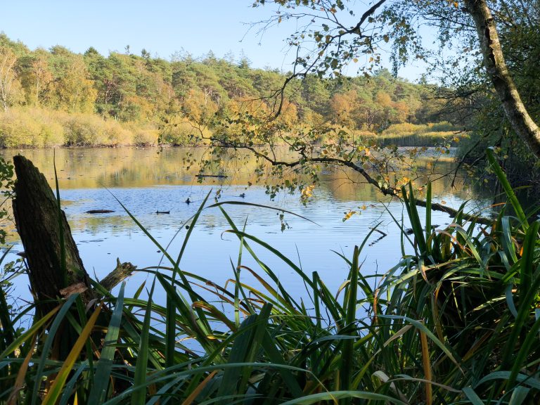 Wernerwald-Webseite-2718-12
