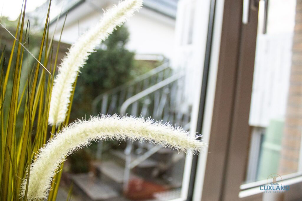 Ferienwohnung  Seerose-31