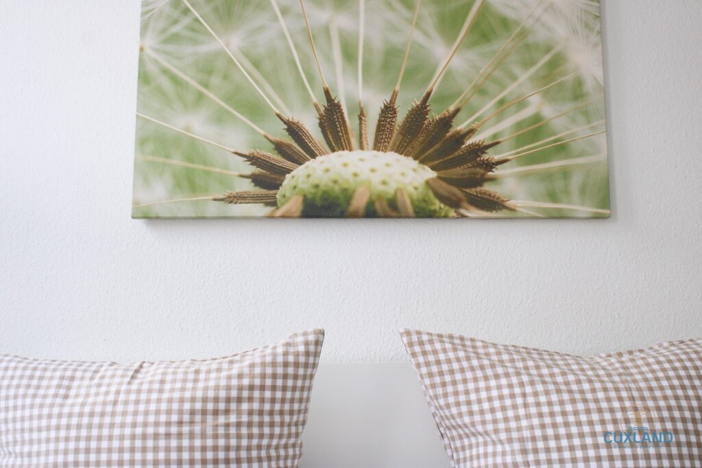 Hus Krüüzpadd unnen-15